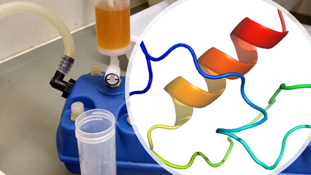 Course Image APLICACIONES, SINTESIS Y ANALISIS DE PEPTIDOS (545). Curso virtual.  Año 2024