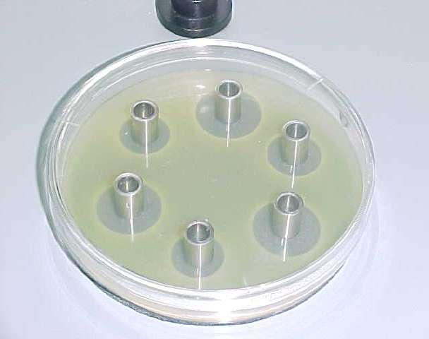 Course Image Valoración microbiologica de sustancias activas 2023