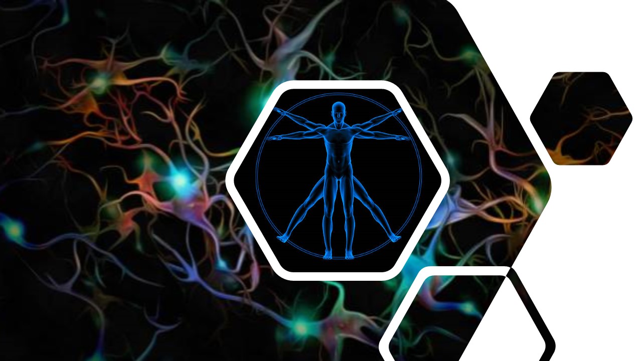 Course Image Fisiología TUMN 2025