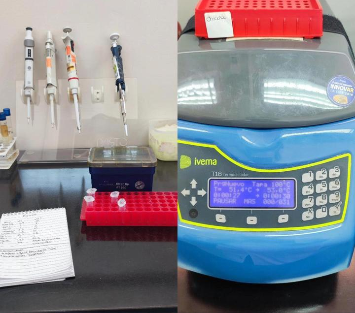 Course Image Bacteriología Molecular 2025