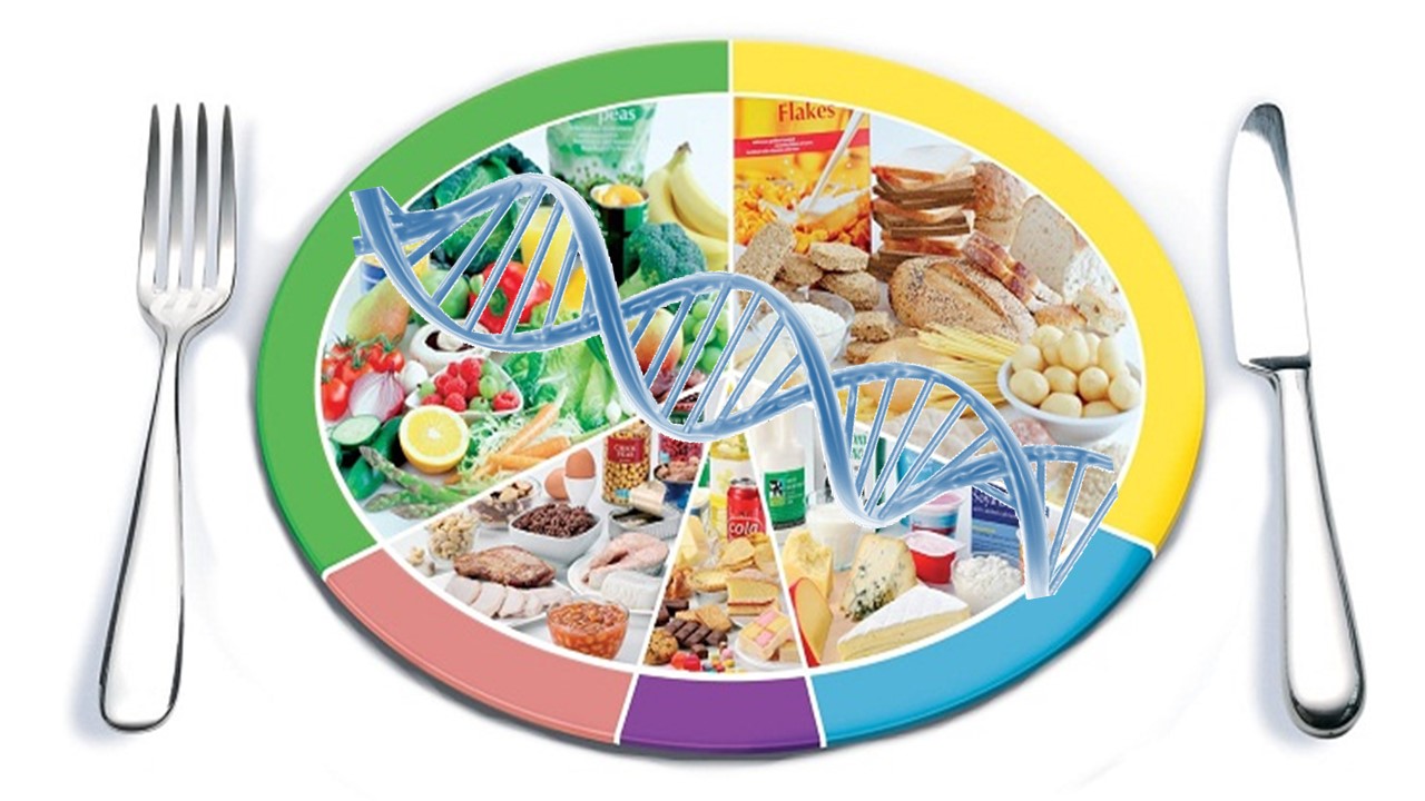 Course Image BIOTECNOLOGÍA DE ALIMENTOS II 2025 (LCTA)