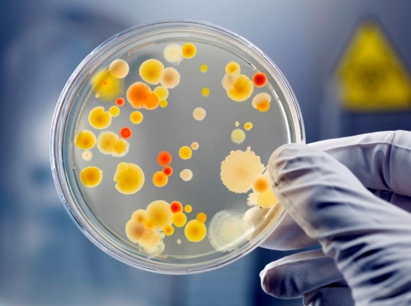 Course Image METODOS MICROBIOLOGICOS APLICADOS A CONTROL DE CALIDAD 2023